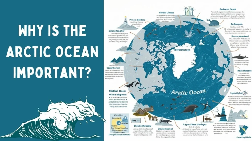 Why Is the Arctic Ocean Important